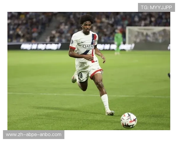 韩国在法甲的球员：韩国球员的法甲历程