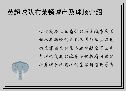 英超球队布莱顿城市及球场介绍