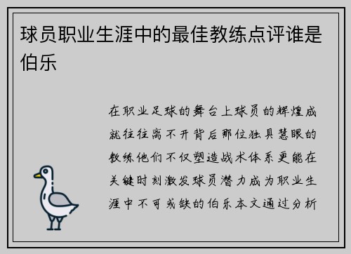 球员职业生涯中的最佳教练点评谁是伯乐