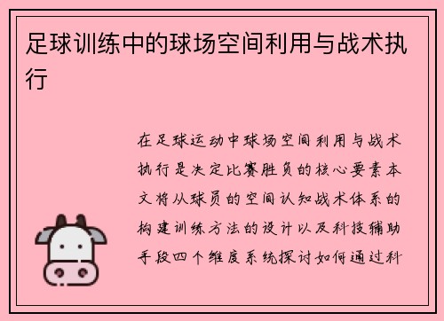 足球训练中的球场空间利用与战术执行